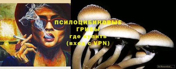 ALPHA-PVP Бугульма